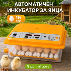 Инкубатор за кокоши, патешки и пъдпъдъчи яйца до 16 броя, 12V/220V