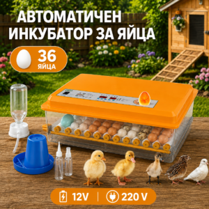 Инкубатор за 36 яйца - кокоши, патешки, гъши и пъдпъдъчи