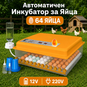 Инкубатор за кокоши, патешки, гъши и пъдпъдъчи яйца – 64 яйца