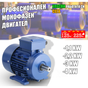 Електрически монофазен двигател + Шайба